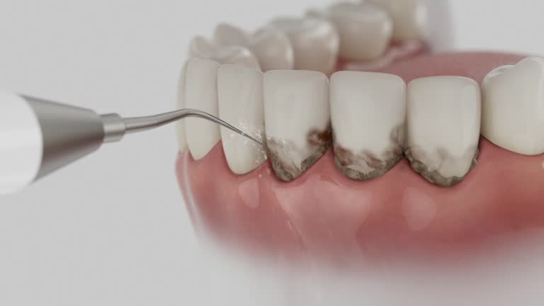 Reliable Dental contractor in Vamo, FL by Dentist Open Now